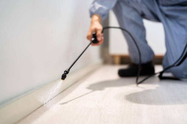 Bed Bug Pre-Treatment Preparation Assessment in Mickleton
